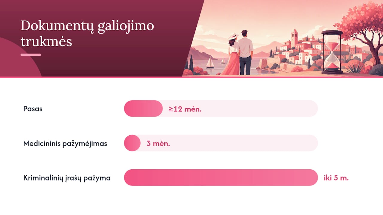 Kokie dokumentai reikalingi ir kaip juos paruošti — overview diagram