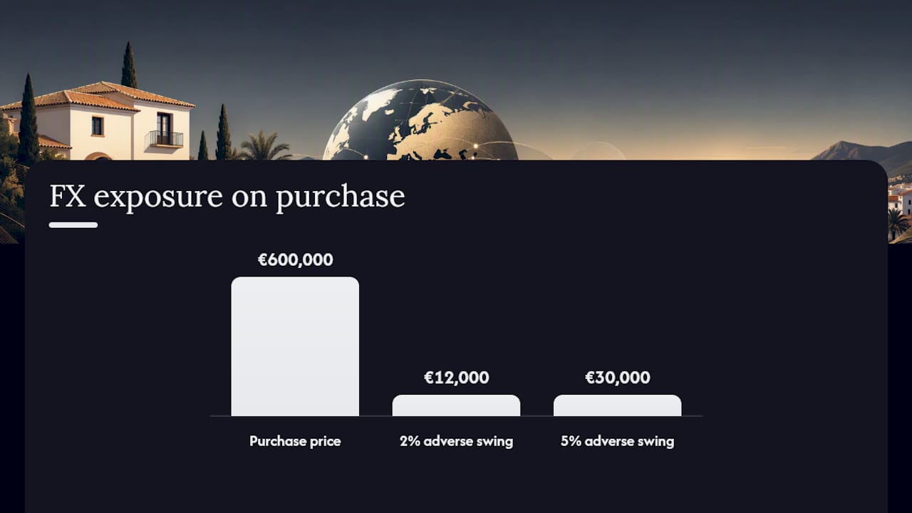 Managing exchange-rate risk on a euro-denominated purchase — overview diagram